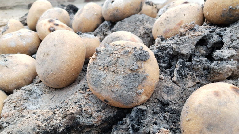 Small, round buns resting on ashes