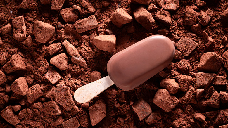 Ice cream bar covered in chocolate surrounded by chocolate