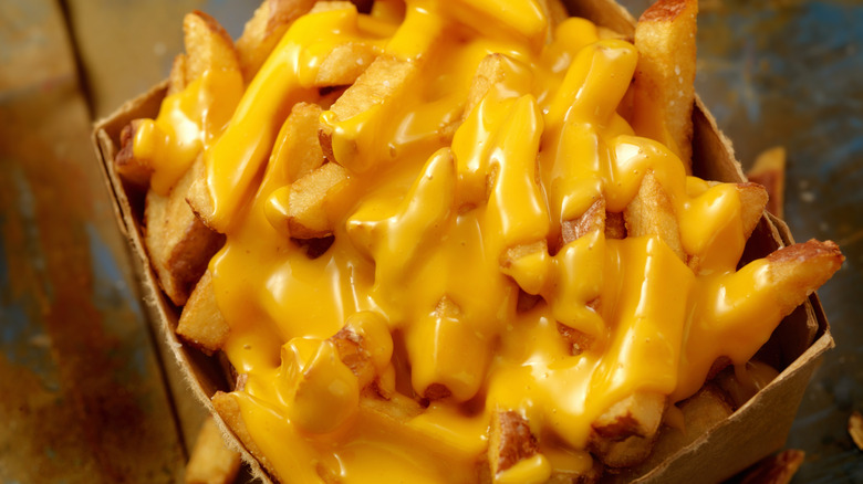 Cheese fries in a cardboard bowl