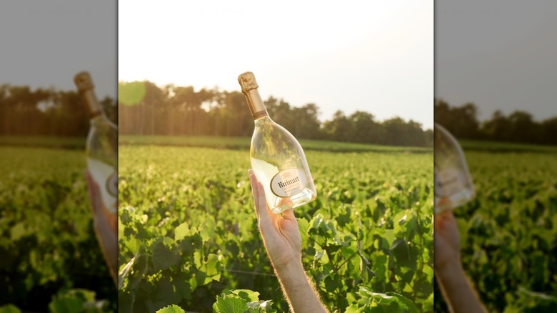 A hand holds up a clear bottle of Champagne outside in a green vineyard surrounded by trees