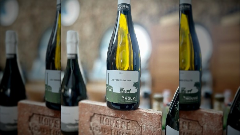 A bottle of Famille Moussé sits on a coffee table at home with two glasses surrounded by books and green plants