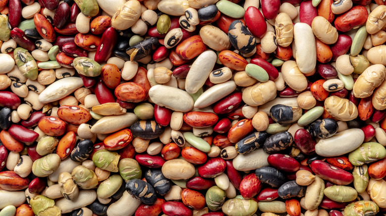 variety of dried beans