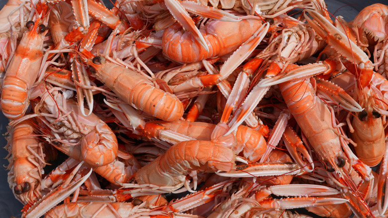 Langostinos on ice at a seafood market