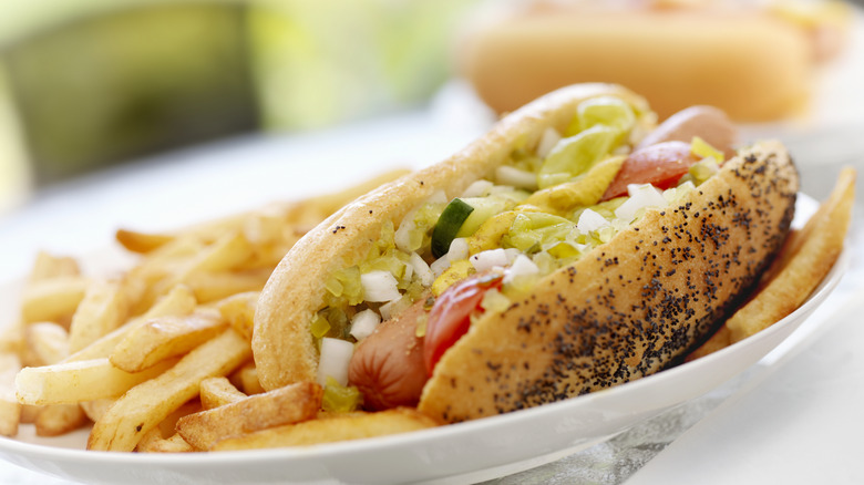 Chicago hot dog with fries