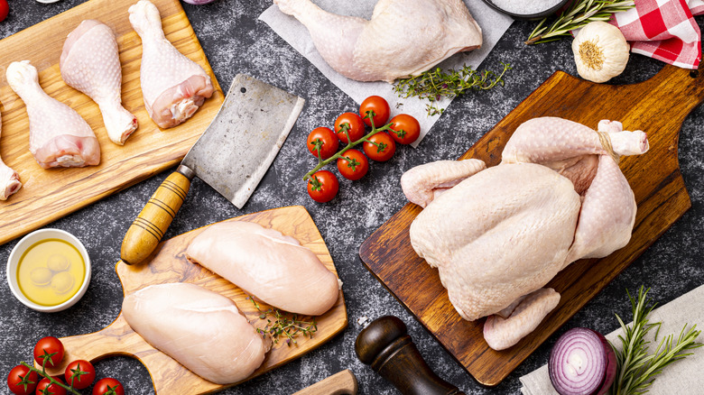 Overhead shot of different cuts of raw chicken