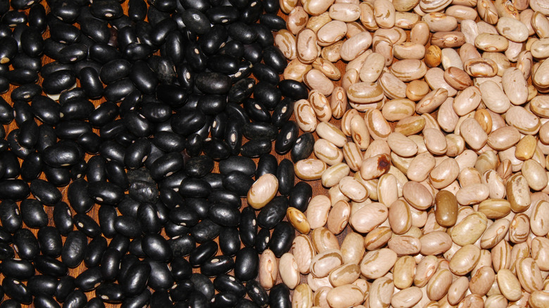 Dry black beans and dry pinto beans