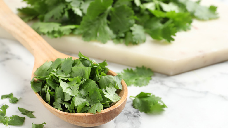 Chopped cilantro in a wooden spoon