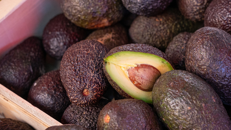 A pile of avocados, with one split in half facing camera