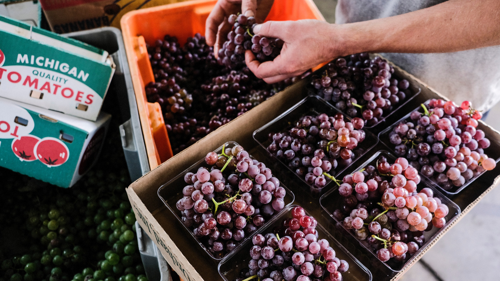 What Does It Mean To Bloom Coffee And Does It Impact The Flavor