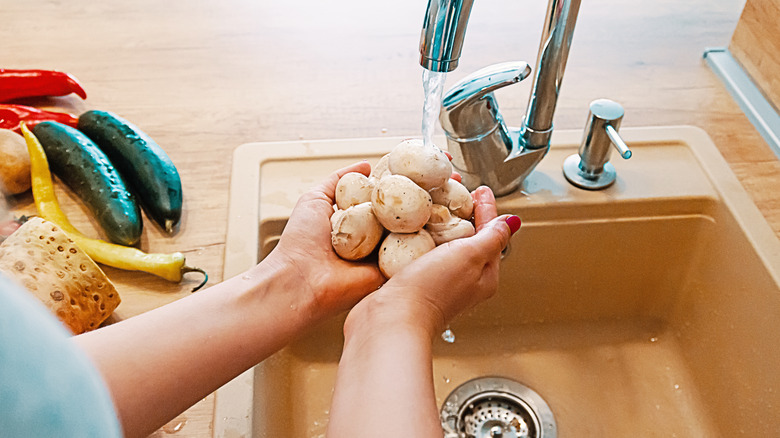 hands washing mushrooms in sink