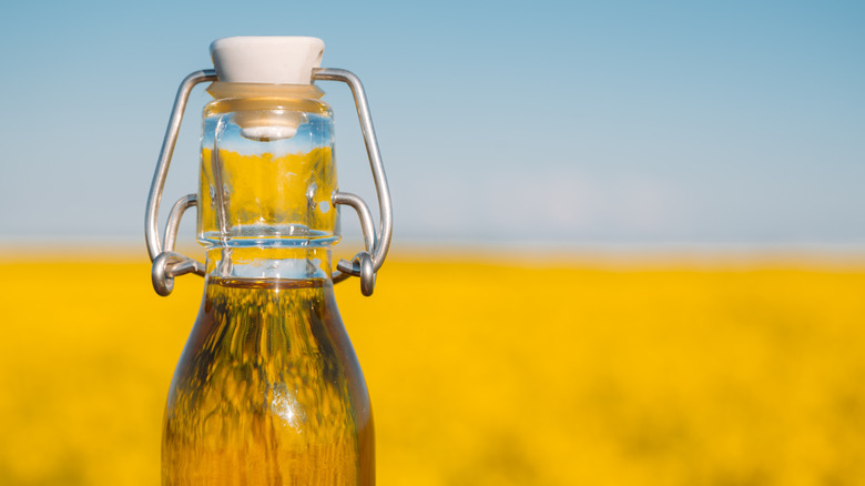 Canola oil against canola field.