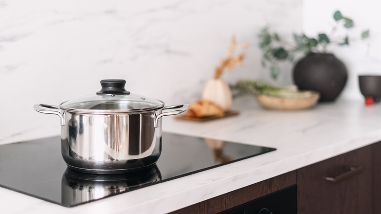 A pot on an induction stove