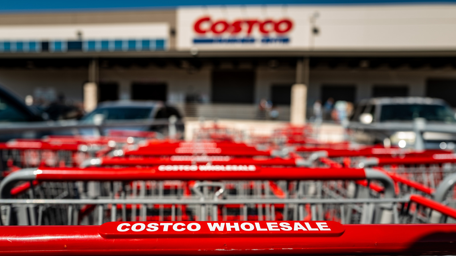 The Costco Products Professional Chefs Keep In Their Kitchens