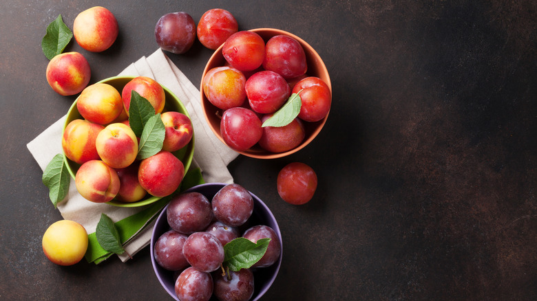 bowls of plums, peaches, and nectarines 