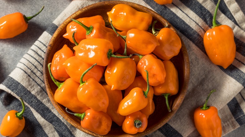 habanero peppers in a bowl
