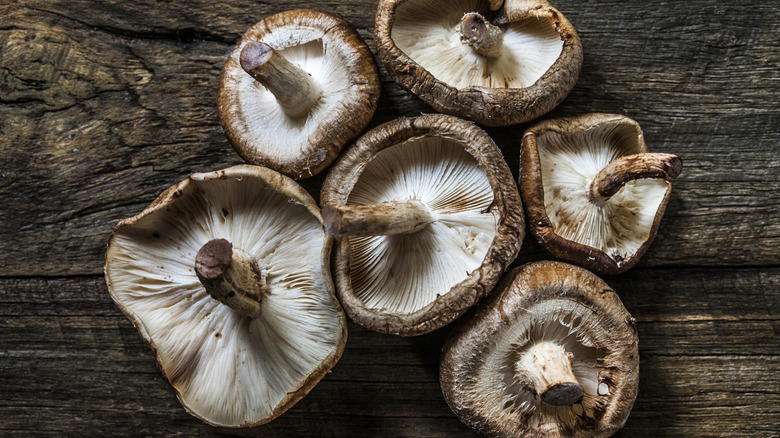 Six shiitake mushrooms stem up on wooden plank