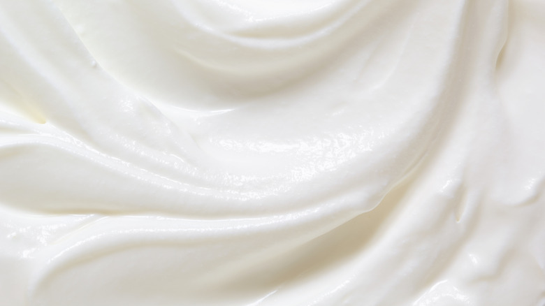 The Difference Between Greek Yogurt And Regular Yogurt The Difference Between Greek Yogurt And Regular Yogurt