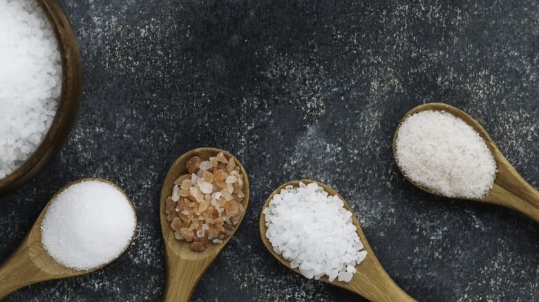Four types of salt on wooden spoons 