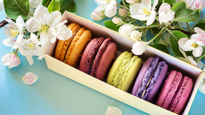 French macarons in a box