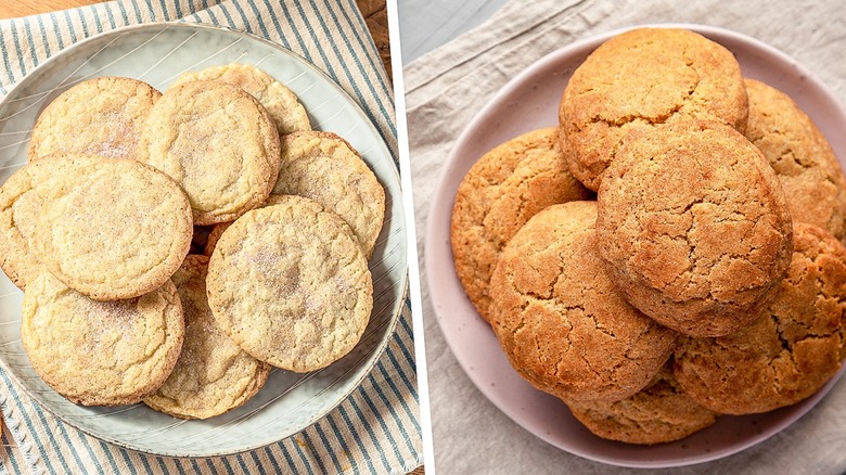 Side by side image of plated snickerdoodles and sugar cookies