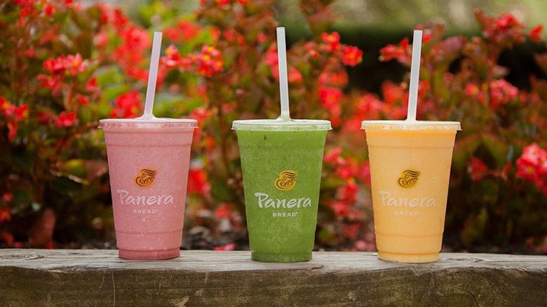 three Panera Bread smoothies in plastic cups with straws