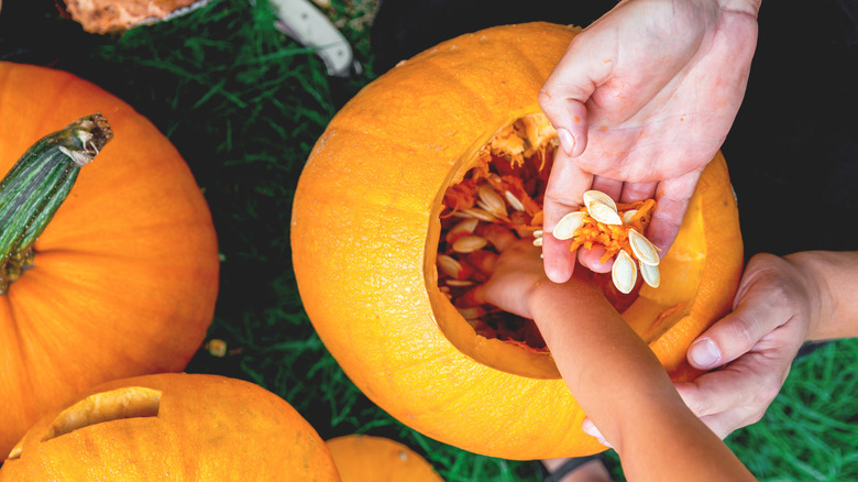 clean fresh pumpkin seeds, jack-o-lantern seeds