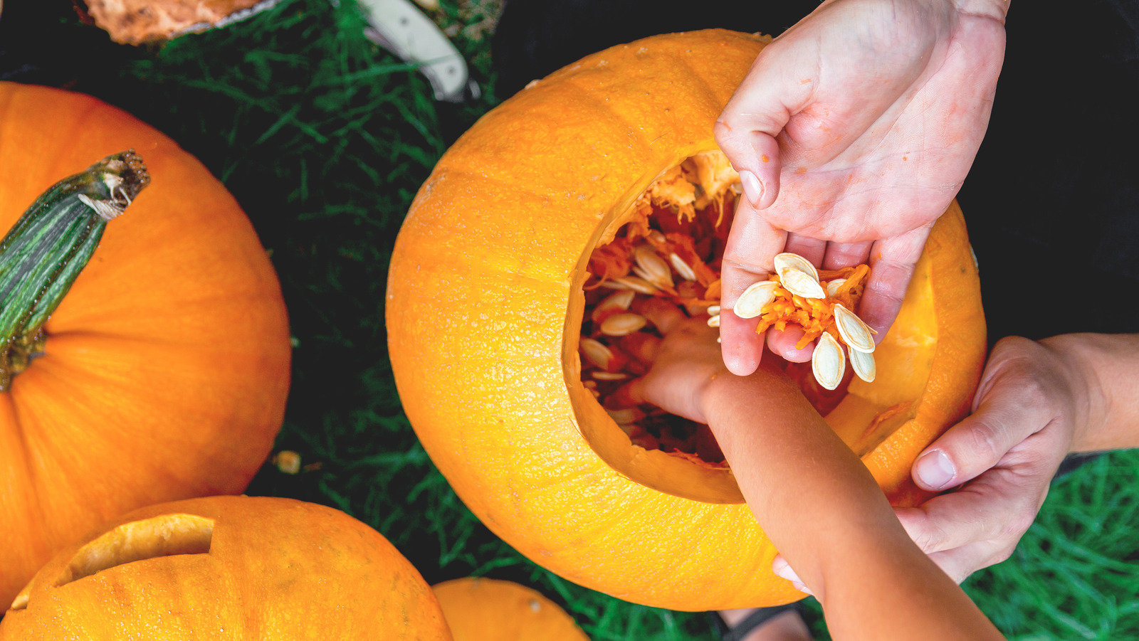 The Easiest Way To Clean Fresh Pumpkin Seeds