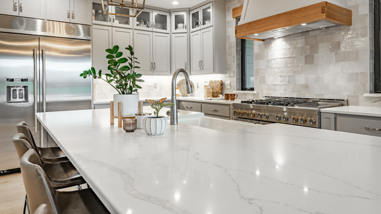 A bright, white colored modern kitchen with marble countertops, stainless steel appliances, and an island with plants and a sink