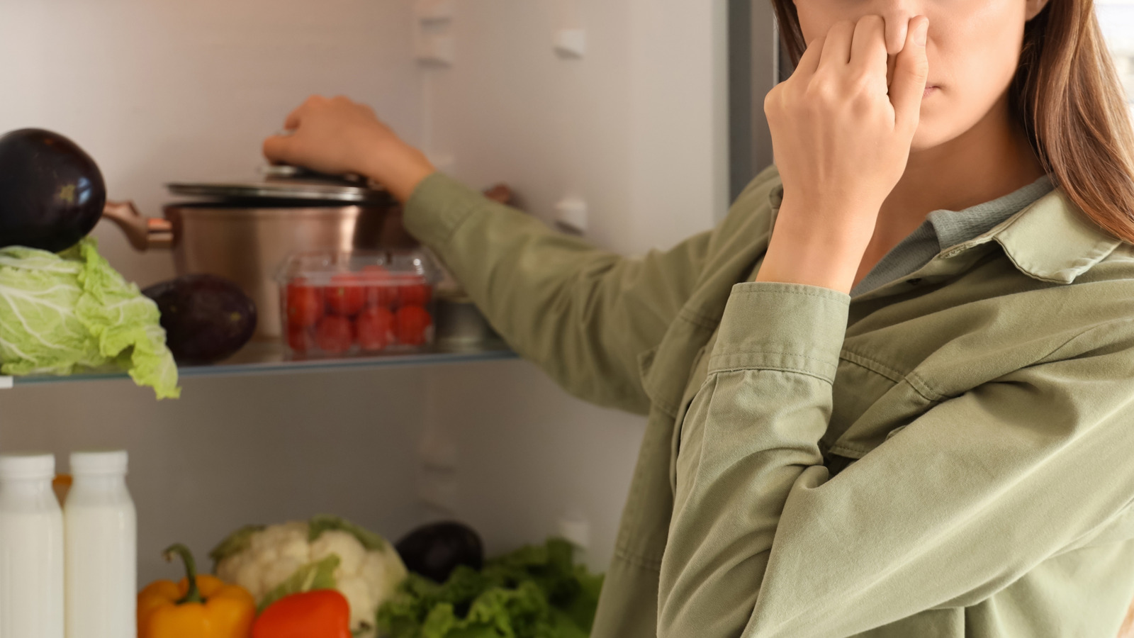 The Easiest Way To Prevent Gross Fridge Odor From Happening After Your Power Goes Out - Tasting Table