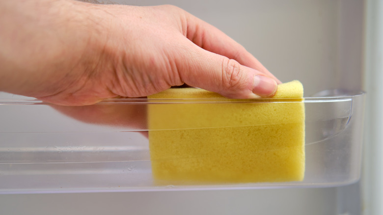 hand putting sponge in fridge