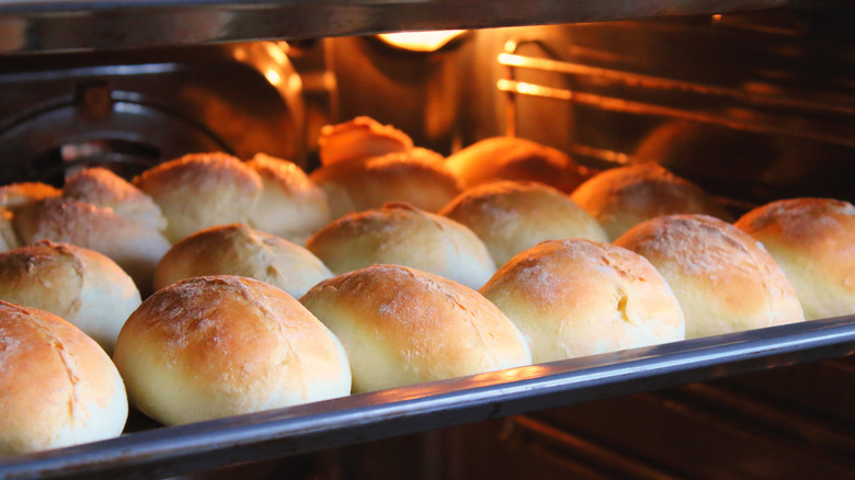 baked dinner rolls thawing under the oven light