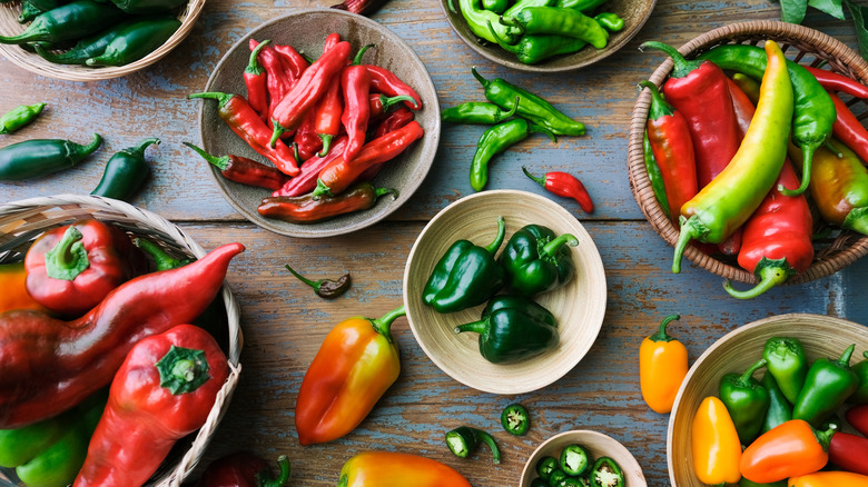 fresh hot peppers and chilis in many bowls