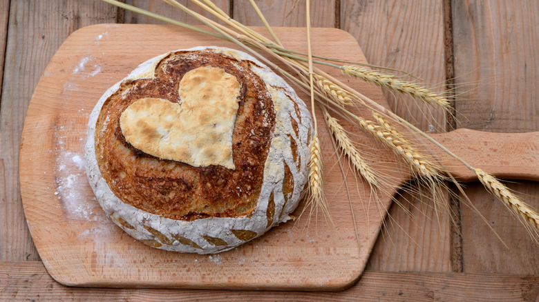 scored bread loaf