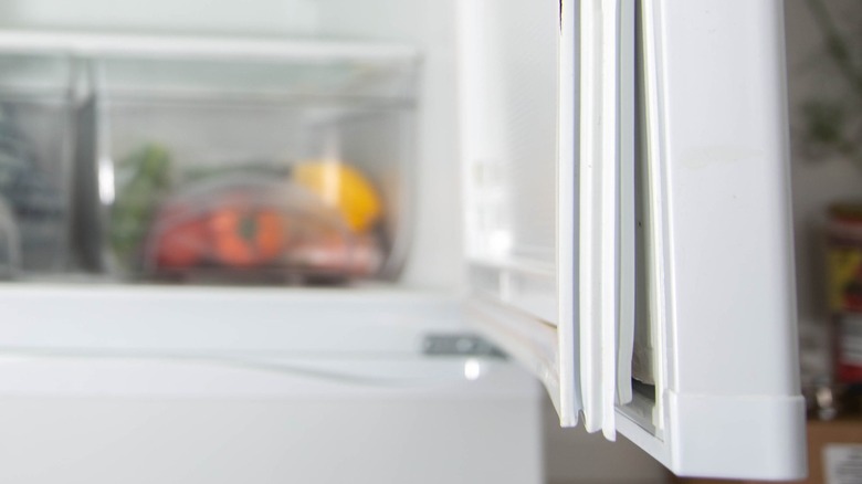 a fridge gasket peeling away from the door