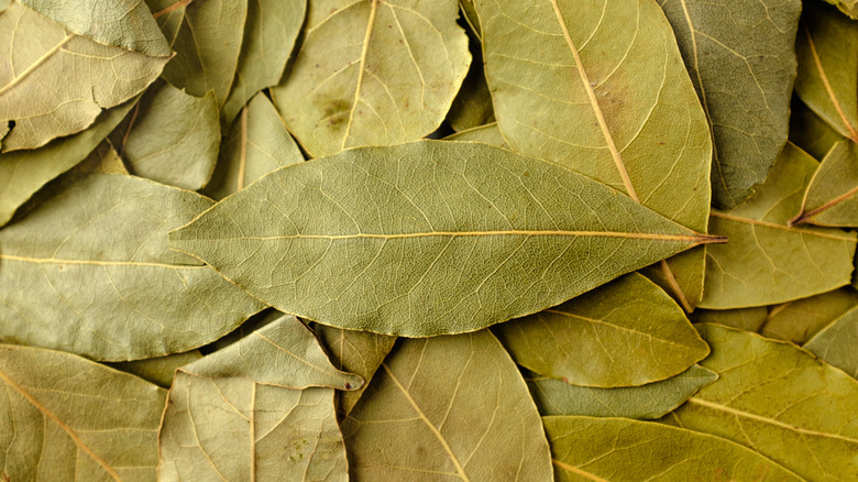 A pile of dried bay leaves