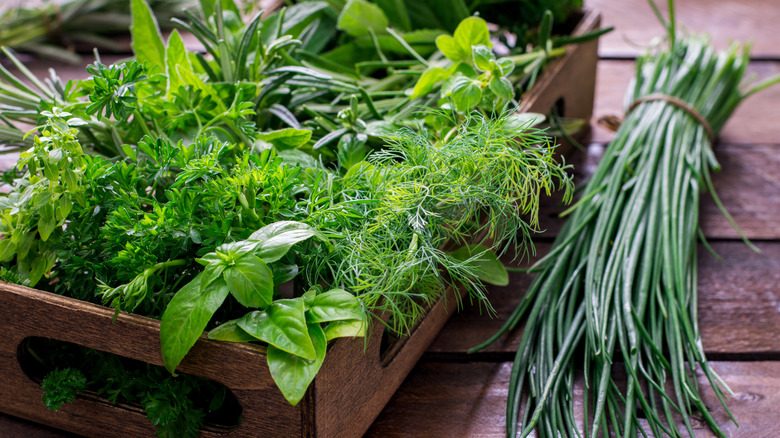 Bunches of fresh herbs in a wooden box