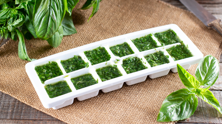 Chopped basil in ice cube tray with basil plants nearby