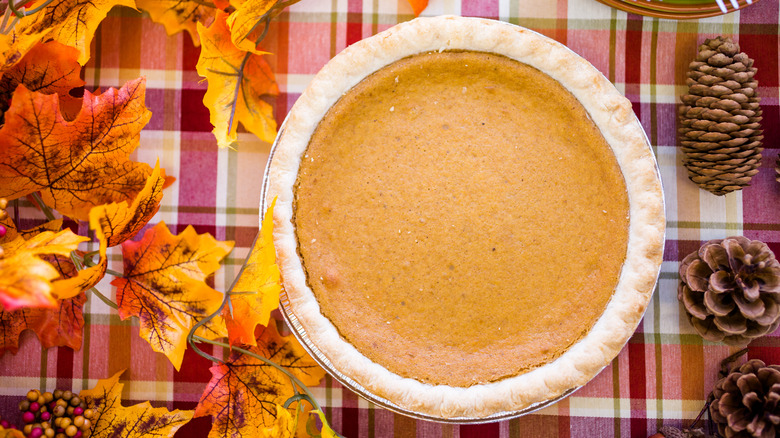 pumpkin pie, surrounded by fall leaves, pine cones