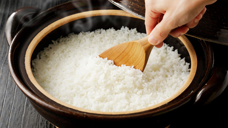 cooked rice and spoon