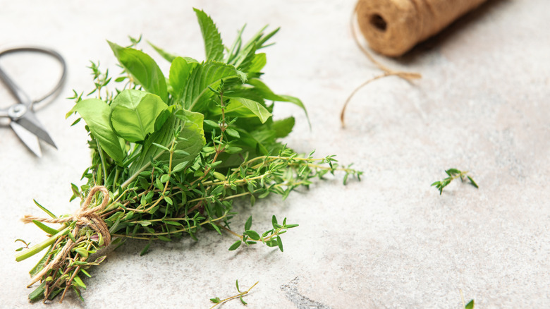 Bouquet of herbs lying on table