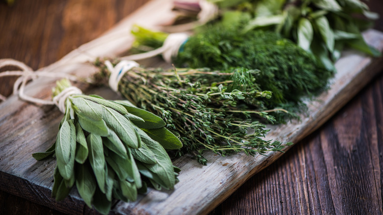Various bunches of herbs on cutting board