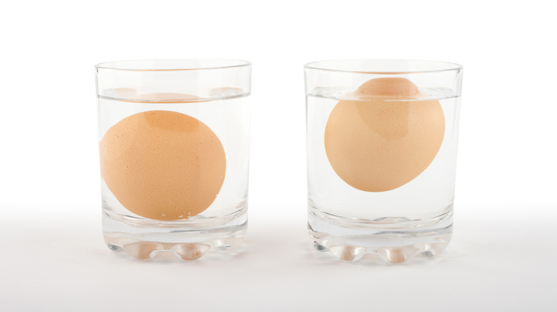 Testing eggs for freshness in glasses of water