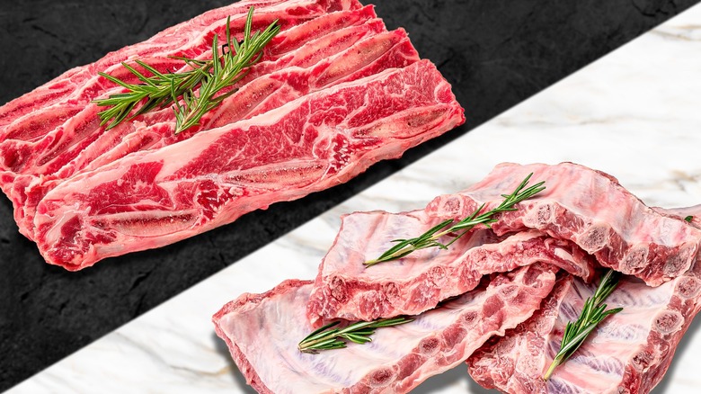 beef and pork ribs composite image