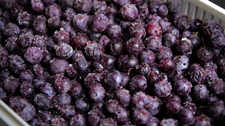 Close-up of frozen blueberries