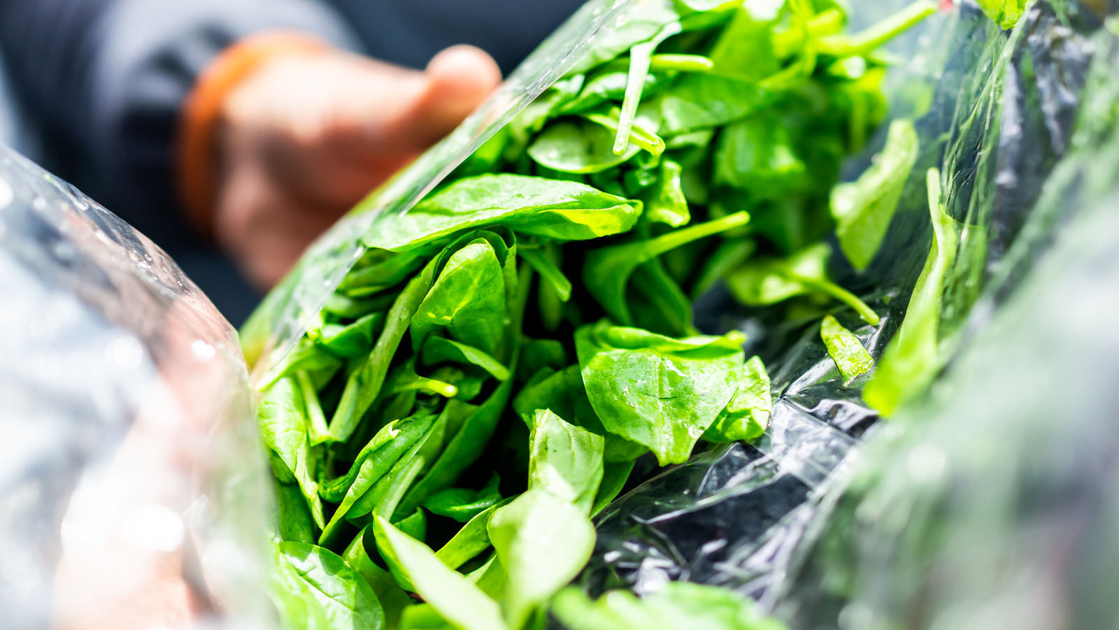 The First Thing You Should Do With Bagged Salad To Keep It Fresh