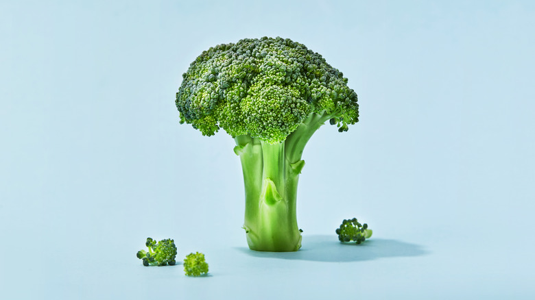 Broccoli on light blue background