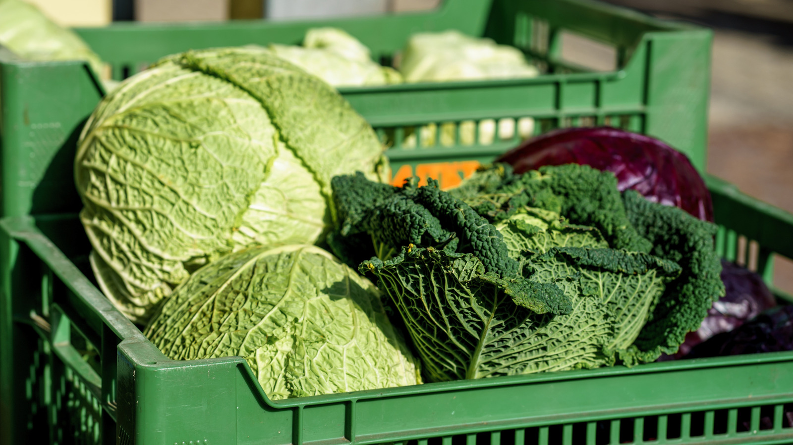 The Flavor-Packed Boil Everyone's Talking About Puts Cabbage Front And Center - Tasting Table