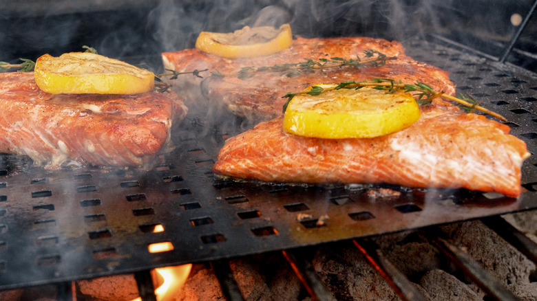salmon on the grill