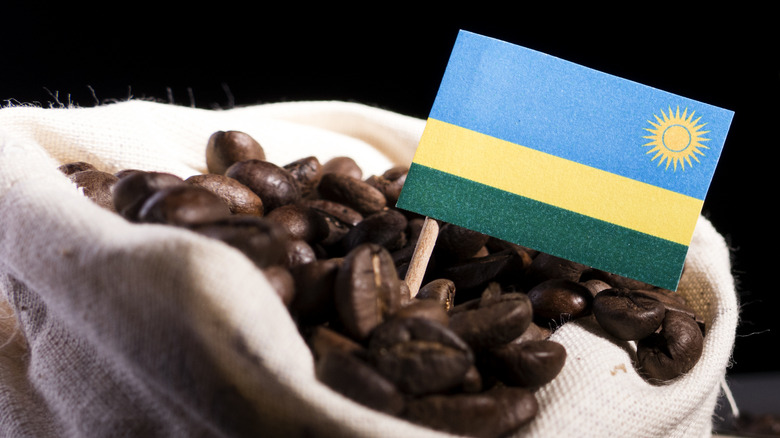 Rwanda flag planted in coffee 