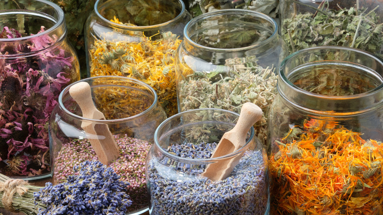 Jars of dried flowers